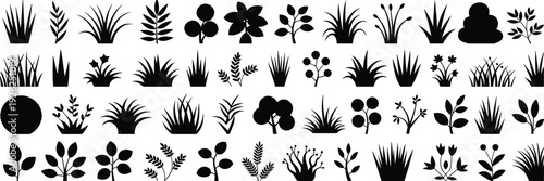 Grass and plant silhouette collection, black botanical elements isolated on white background, nature foliage vector icon set