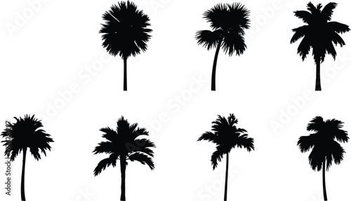 Palm tree silhouette collection, tropical coconut palms isolated on white background, summer beach nature vector illustration set