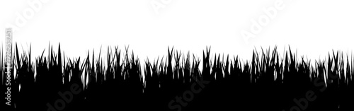 Meadow silhouette with grass, plants on plain. Panoramic summer lawn landscape with herbs, various weeds. Herbal border, frame element. Black horizontal banners. Vector illustration
