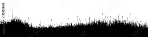 Meadow silhouette with grass, plants on plain. Panoramic summer lawn landscape with herbs, various weeds. Herbal border, frame element. Black horizontal banners. Vector illustration