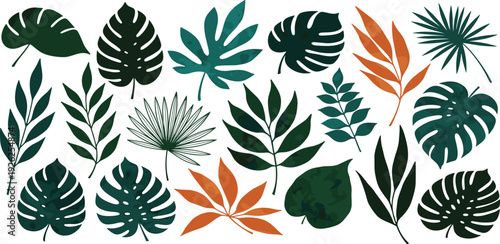 A diverse collection of tropical leaves and plants arranged in a visually appealing pattern from a top-down viewpoint