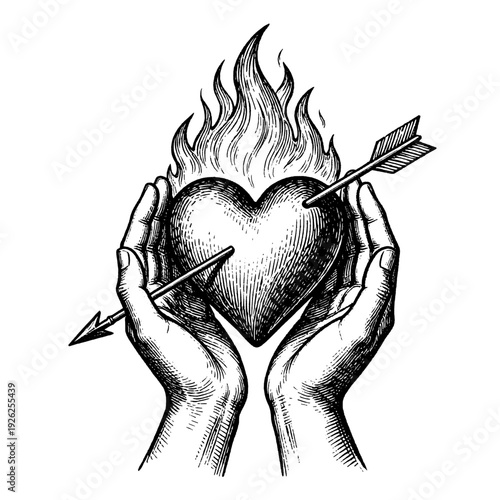 Antique hands holding sacred heart etching illustration for vintage Valentine love concept