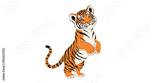 Cute orange and black striped tiger cub standing on its hind legs with its paws up in a playful and friendly pose.