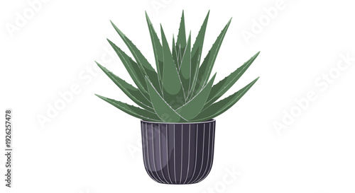 Stylized green aloe vera succulent plant growing in a dark textured ceramic pot isolated on a white background.
