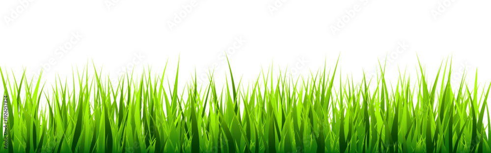 Fototapeta premium Meadow silhouette with green grass, plants on plain. Panoramic summer lawn landscape with herbs, various weeds. Herbal border, frame element. Black horizontal banners. Vector illustration