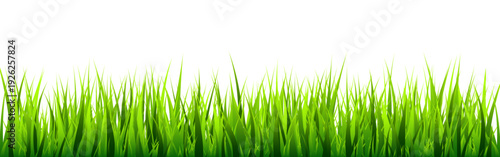 Meadow silhouette with green grass, plants on plain. Panoramic summer lawn landscape with herbs, various weeds. Herbal border, frame element. Black horizontal banners. Vector illustration