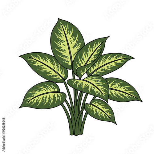 Vibrant tropical green plant with variegated leaves on white background for nature and botanical decor