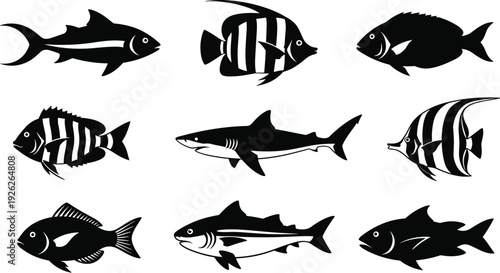 Set of nine black fish silhouettes including shark and tropical species isolated on white for marine life patterns cad drawing flat vector illustration