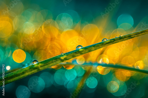 Water droplets resting on a slender blade of grass with colorful bokeh background in teal and amber hues creating a serene nature-inspired abstract scene