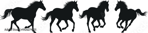 Four horses running in unison, captured in silhouette against a neutral background from a side viewpoint.