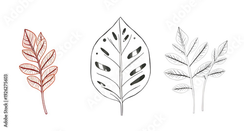 leaf, leaves, foliage, botanical, plant, nature, vector, illustration, collection, set, greenery, green, eco, natural, organic, garden, forest, flora, botany, decorative, design, graphic, clipart, ico