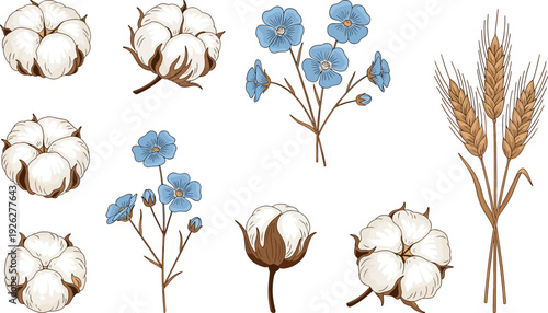 Organic Cotton Flowers Flax and Wheat Stalks Set, Natural Fiber Botanical Collection, Flat Art