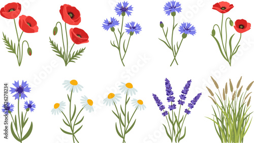 Wildflower and Meadow Herb Collection, Flat Floral Illustration Vector Set
