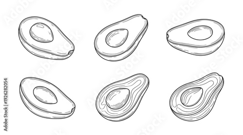 avocado halves , 6 black delicate line drawings vector set collection , white background , PNG and SVG	