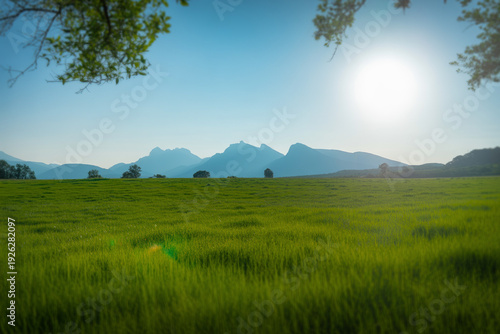 Scenic landscape featuring a vibrant green field and distant mountains