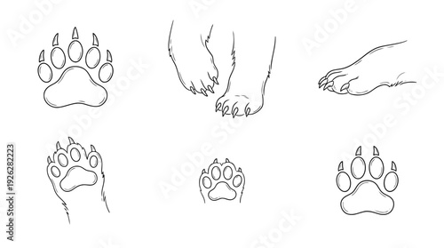 bear paws , 6 black delicate line drawings vector set collection , white background , PNG and SVG	