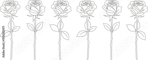 A line drawing of six roses with leaves and stems