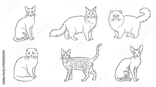 cat breeds , 6 black delicate line drawings vector set collection , white background , PNG and SVG	
