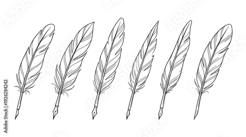 quill pens , 6 black delicate line drawings vector set collection , white background , PNG and SVG	