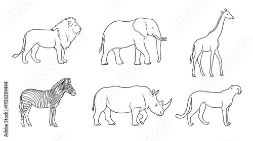 safari animals , 6 black delicate line drawings vector set collection , white background , PNG and SVG	
