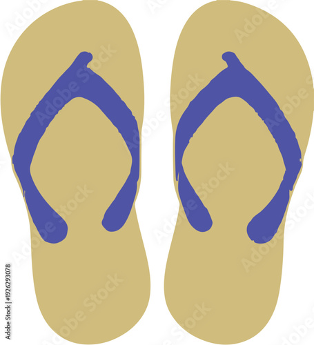 A pair of blue flip flops.