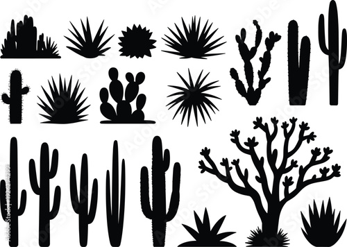 Tableau sur toile Silhouette Collection of Desert Cacti and Succulents on White Background Keyword