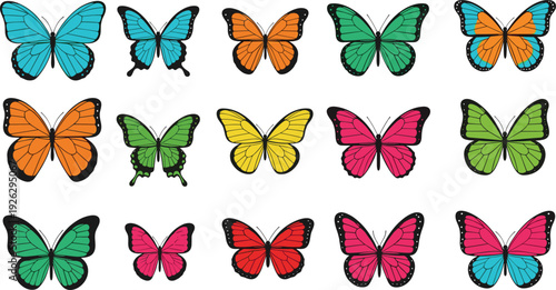 Set of colorful butterfly vector illustrations with various species and wing patterns isolated on white background for spring nature and decorative design