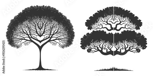 Symmetrical tree designs in black and white on a white background Keywords: tree, symmetrical, silhouette, black and white