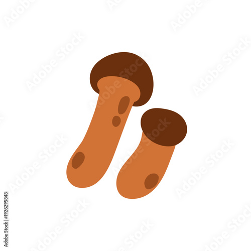 Autumn mushrooms. Boletus fungi composition. Forest fungus, natural organic food, porcini. Fall seasonal ingredient. Flat vector illustration isolated on white background