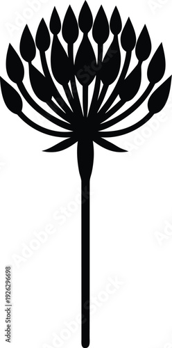 Allium silhouette vector art Illustration