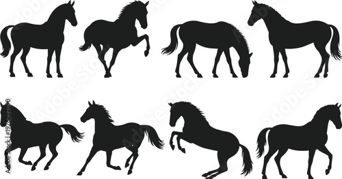 Black horse silhouette set, running rearing grazing equine stallion mare farm ranch animals isolated on white, flat vector illustration