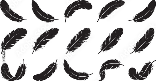 Black Feather Silhouette Set - 15 Vector Bird Plumage Icons