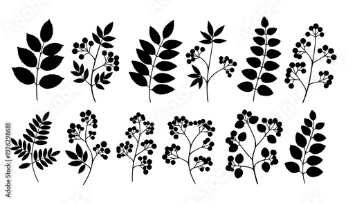 Decorative black and white botanical branch collection with leaves and berries isolated on transparent background