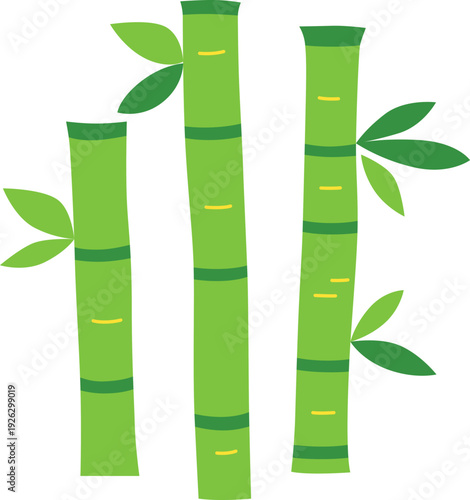 bamboo