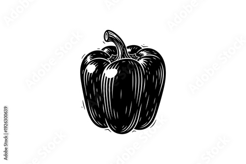 Retro engraved bell pepper hand drawn black and white sketch