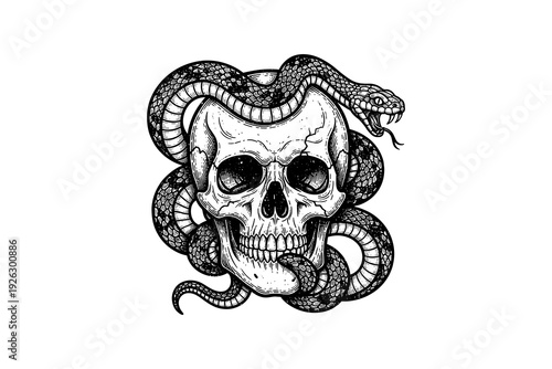 Intricate skull and snake design with vintage tattoo style