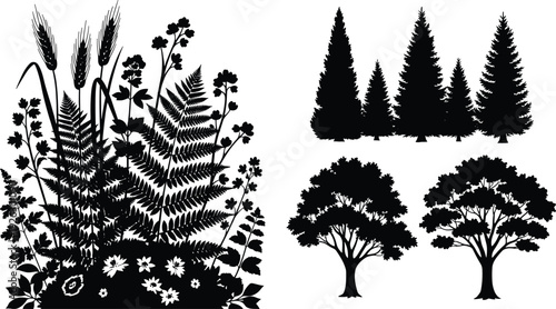 Botanical forest plants and trees silhouette set, pine woodland and garden foliage collection isolated, flat vector illustration