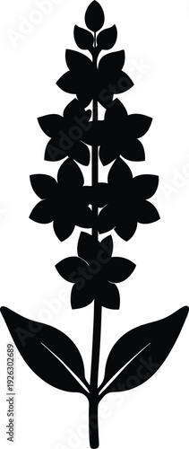 Delphinium silhouette vector art Illustration