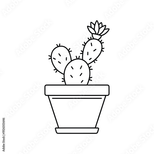 Desert Botanical Cactus with Bloom Minimal Nature Plant Illustration On white Background Line Art Vector illustration.