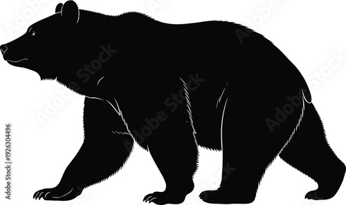 Wild Bear Silhouette Side View, Black Grizzly Animal Illustration Isolated on White Background for Wildlife and Nature Design