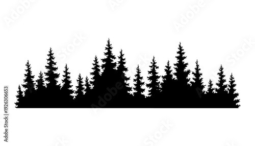 Fir trees silhouette. Coniferous spruce horizontal background pattern, black evergreen woods vector illustration. Beautiful hand drawn panorama of coniferous forest