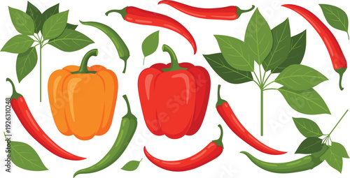 Set of fresh vegetable vector illustrations featuring ripe red and orange bell peppers, spicy chili peppers, and green jalapeños with lush green leaves on white background.
