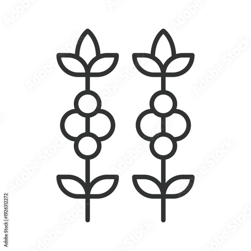 Coffee plant icon in line design. coffee plant, coffee cherries, coffee farm, arabica plant, organic coffee, agriculture harvest, coffee tree. White background vector. Editable stroke icon