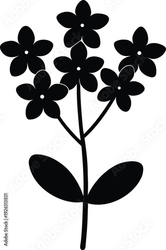 Saxifrage Flat Icon Style Silhouette Vector Art Illustration