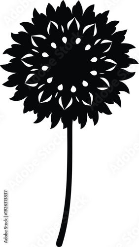 Scabiosa Flat Icon Style Silhouette Vector Art Illustration