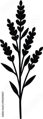 Sea Lavender Flat Icon Style Silhouette Vector Art Illustration