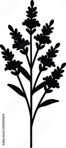 Solidago Flat Icon Style Silhouette Vector Art Illustration
