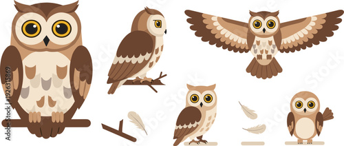 Owl Cartoon Character Set with Flying Perched and Standing Woodland Bird Flat Vector Illustration.