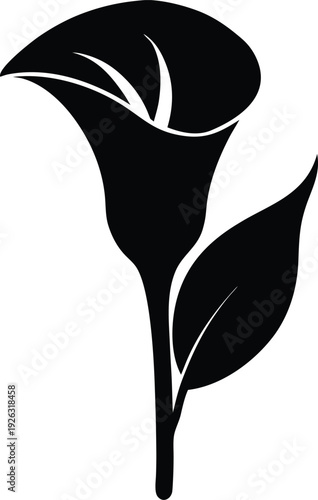 Zantedeschia Flat Icon Style Silhouette Vector Art Illustration