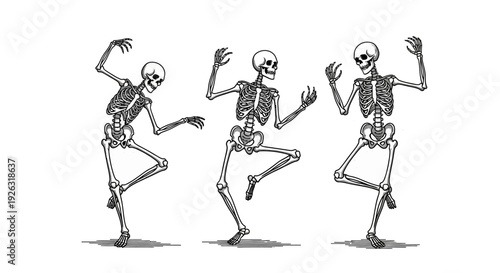 Three Dancing Skeletons in a Row Isolated on White Background with Shadows